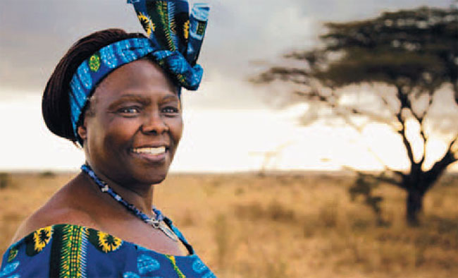 Image result for Wangari maathai