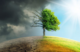 Climate Risk Insurance