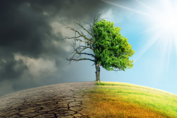 Climate Risk Insurance