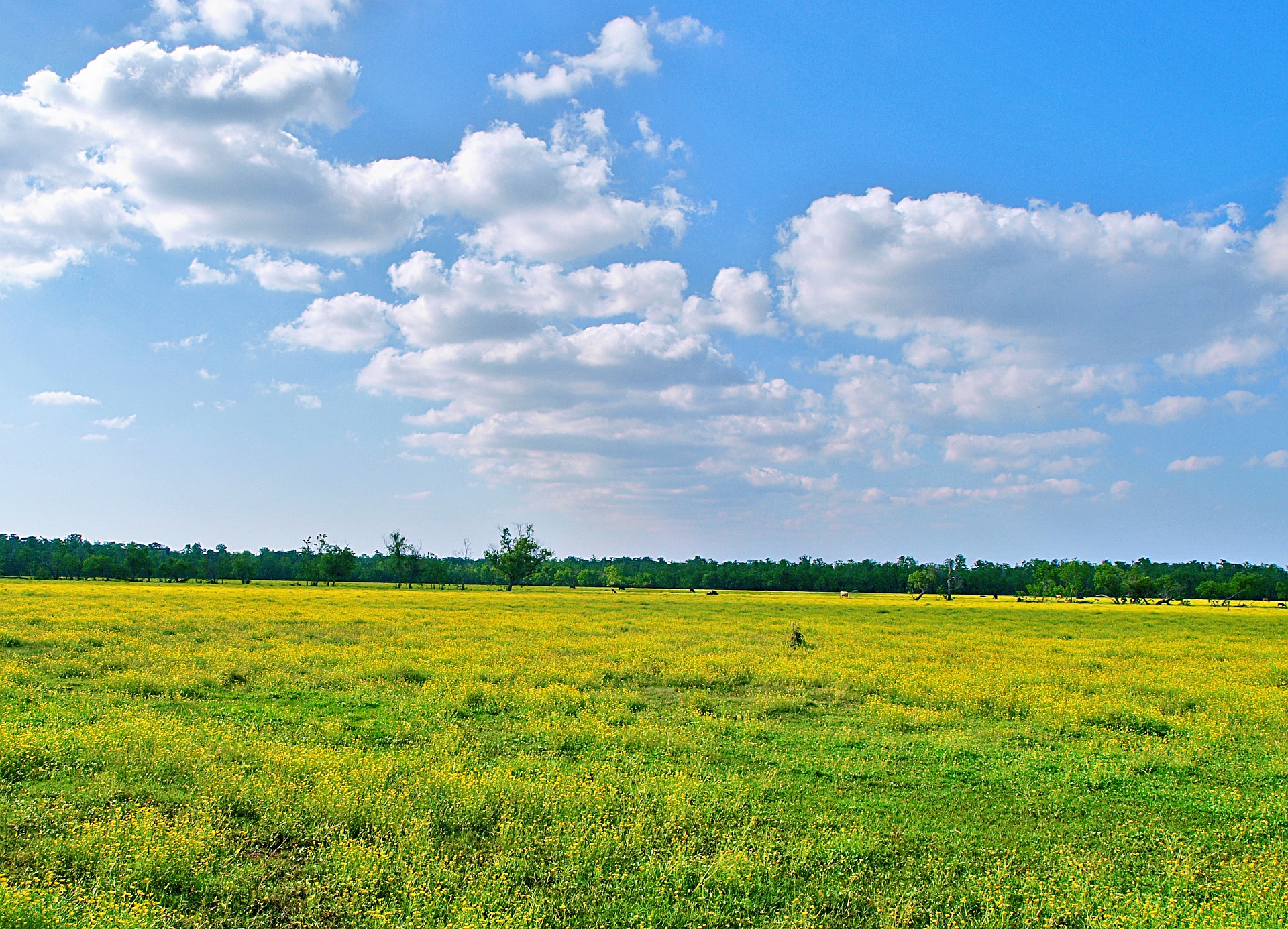 12 Practical Steps For Buying Land In Kenya HapaKenya