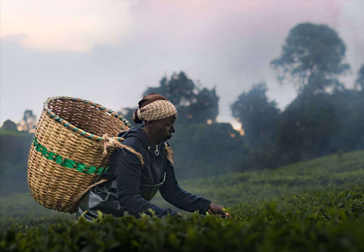 Journeyman Pictures to Globally distribute colonial land dispute docu, ‘Kikuyu Land’